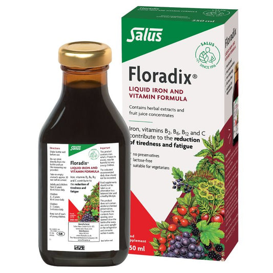 Floradix 250ml